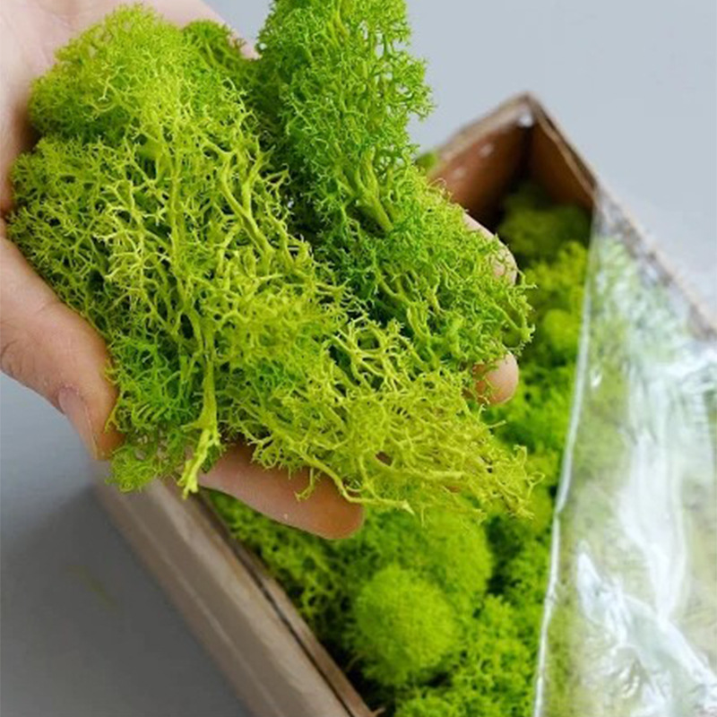 Sphagnum Moss Dry - Künstliche grüne Pflanzen, ewiges Leben, Moosgras,