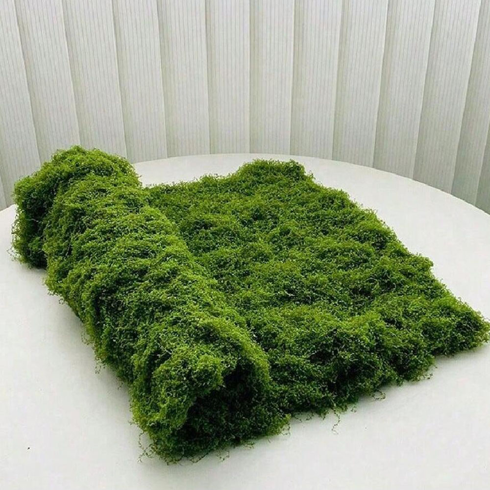 Sphagnum Moss Dry - 1*1m Gefälschte Moos DIY Handwerk Gras