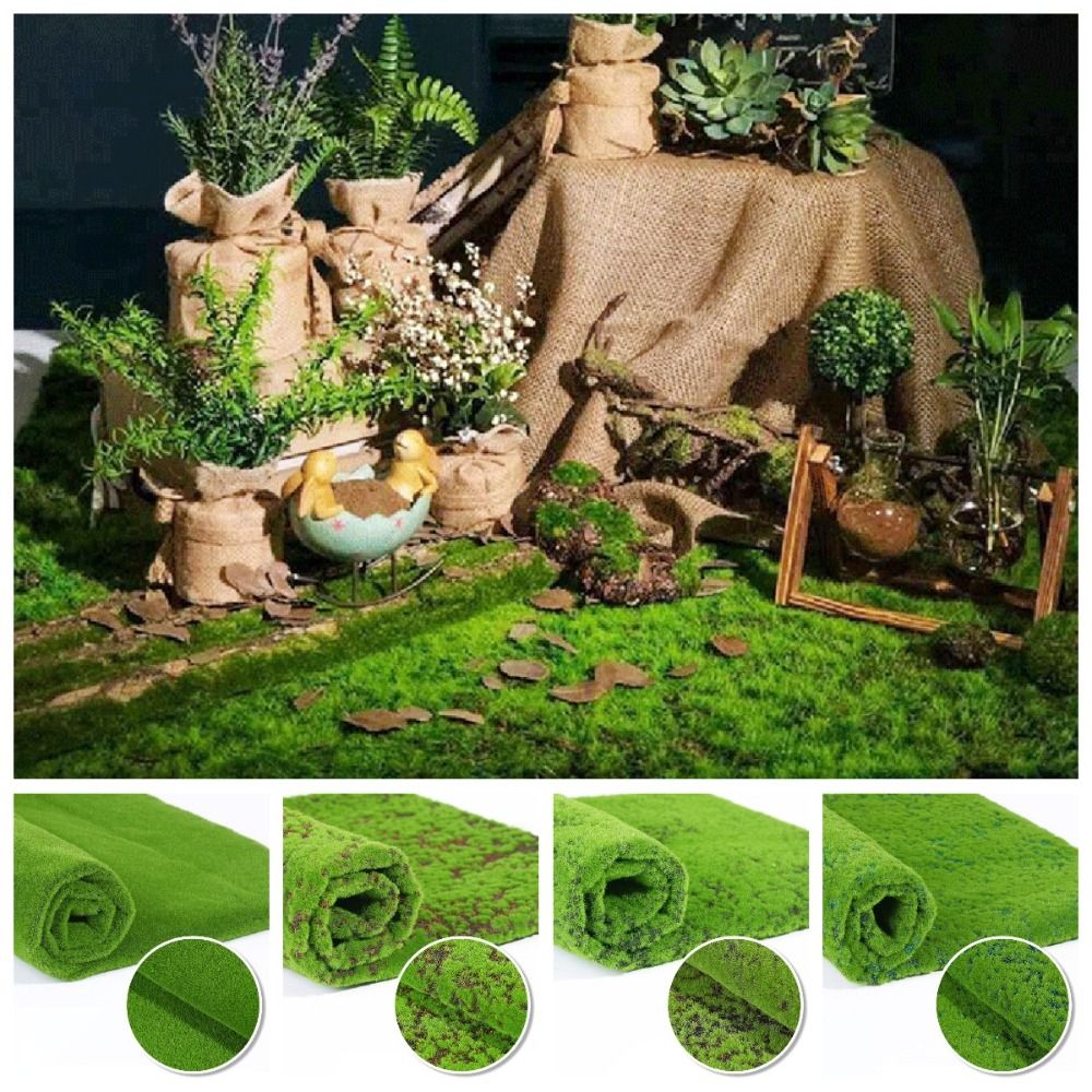 DIY Künstliches Moos Grasrasen – Sphagnum Moss Dry Bewertung und Preis