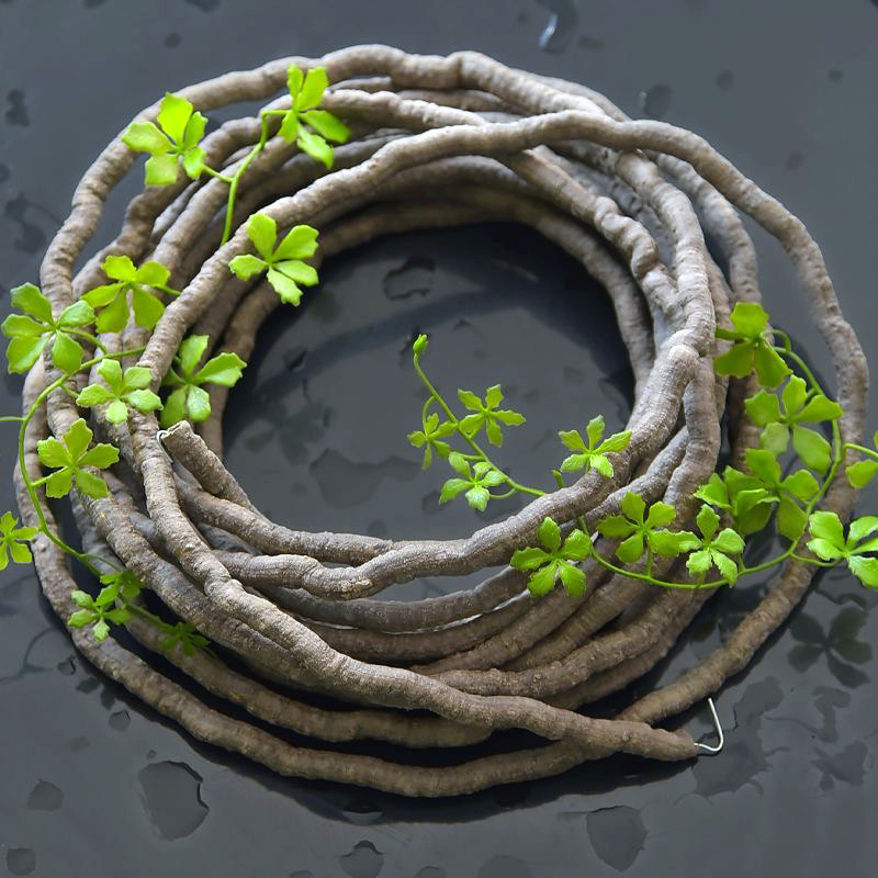 Künstliche Efeu-Pflanzen 100 c – Sphagnum Moss Dry Bewertung und Preis
